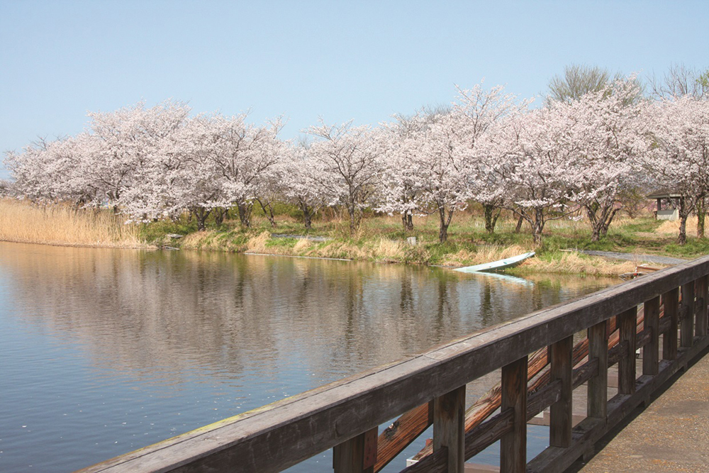 吉野公園の紹介